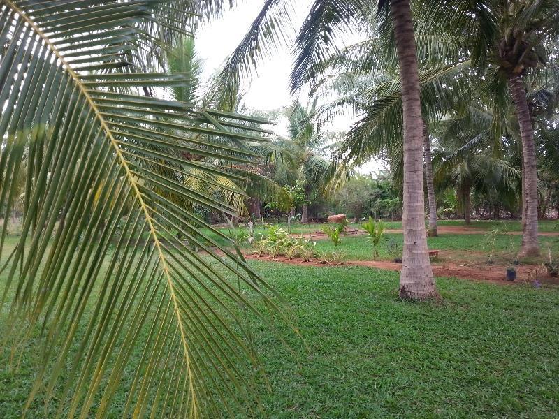 Serenity Lake Resort Yala Tissamaharama Exteriér fotografie