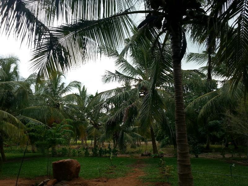 Serenity Lake Resort Yala Tissamaharama Exteriér fotografie