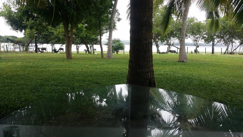Serenity Lake Resort Yala Tissamaharama Exteriér fotografie