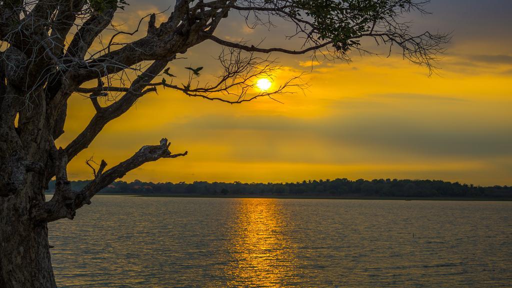 Serenity Lake Resort Yala Tissamaharama Exteriér fotografie