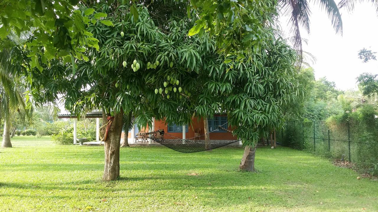 Serenity Lake Resort Yala Tissamaharama Exteriér fotografie